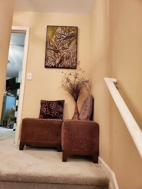 living area featuring carpet flooring