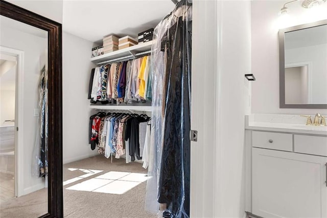 closet with a sink