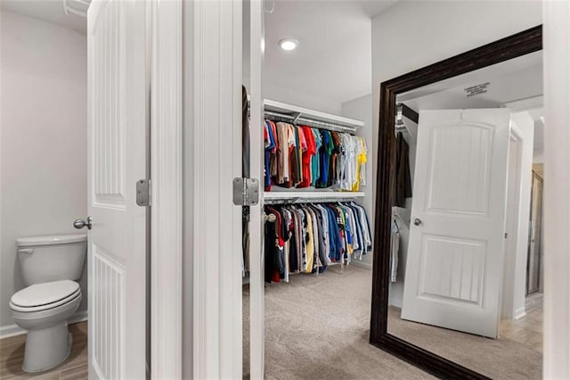 spacious closet featuring carpet flooring