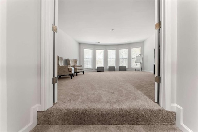 living area with baseboards and carpet floors