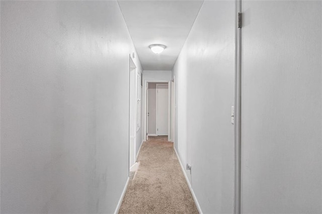 corridor with light colored carpet