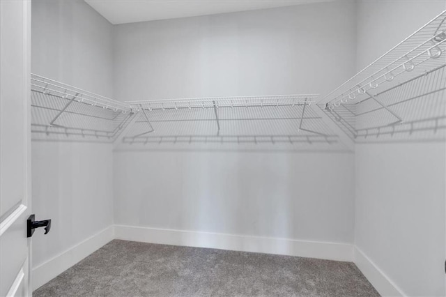 6890 Peachtree Dunwoody Rd Unit 303, Atlanta, GA 30328 - walk in closet with carpet floors
