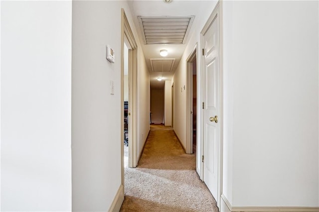 hallway featuring carpet floors