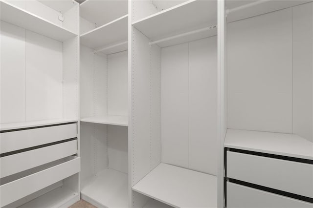 3362 Palm Cir NW, Kennesaw, GA 30144 - view of walk in closet