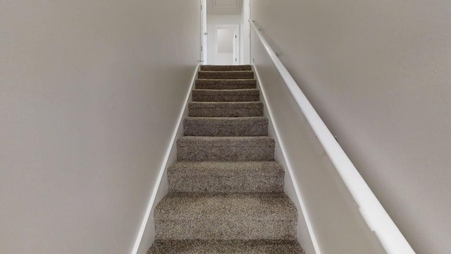 stairway with baseboards and carpet floors