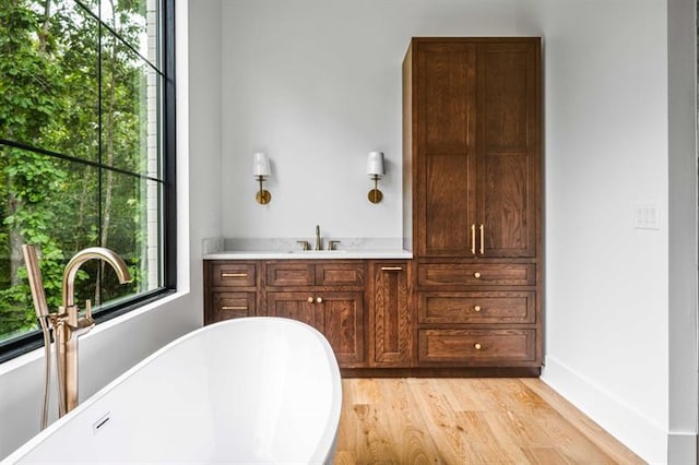 bathroom with hardwood / wood-style flooring, vanity, and a tub