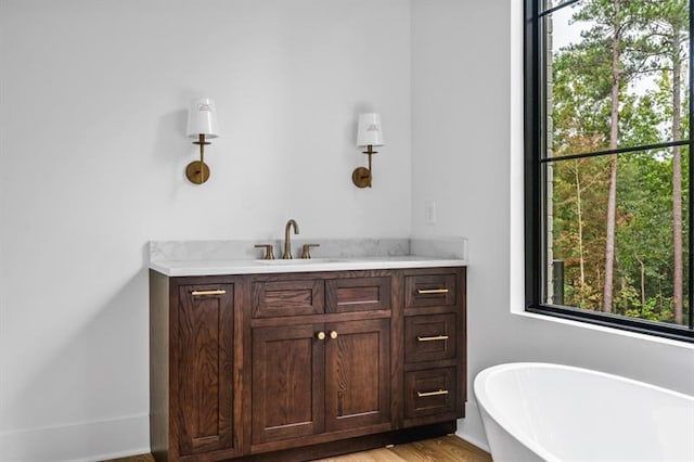 bathroom with vanity and a tub