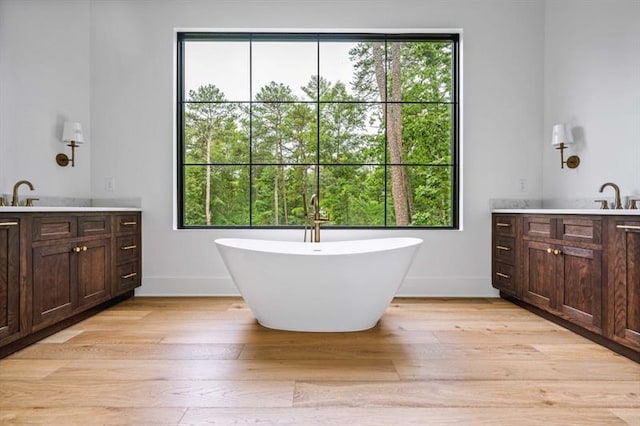 bathroom featuring a bath, vanity, and wood-type flooring