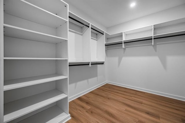 walk in closet featuring wood-type flooring