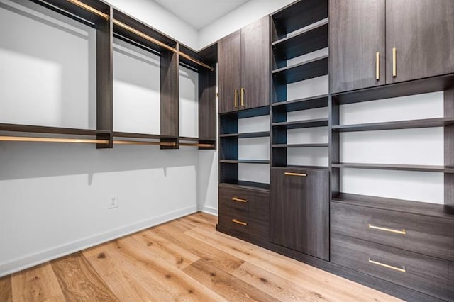 spacious closet with light wood-type flooring