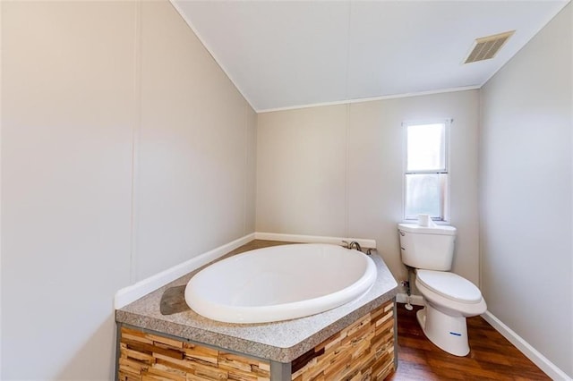 bathroom featuring vanity, toilet, and hardwood / wood-style flooring