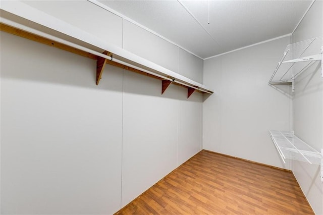 spacious closet with light wood-type flooring