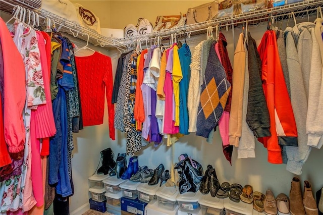 view of spacious closet