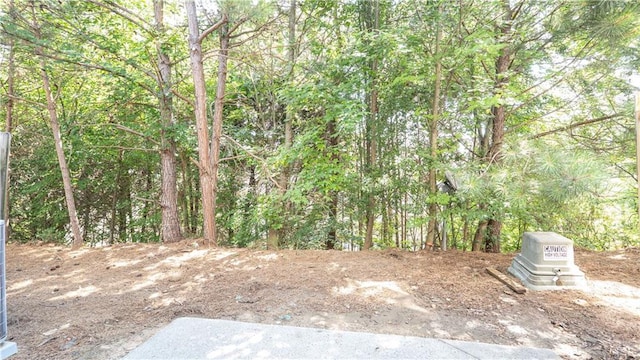 3176 Creston Park Ct, Duluth, GA 30096 - view of yard with a forest view