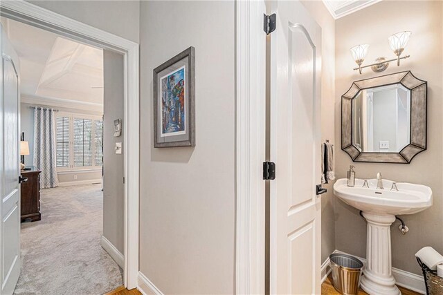 bathroom with crown molding