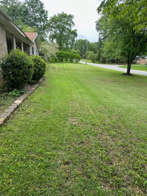 view of green lawn
