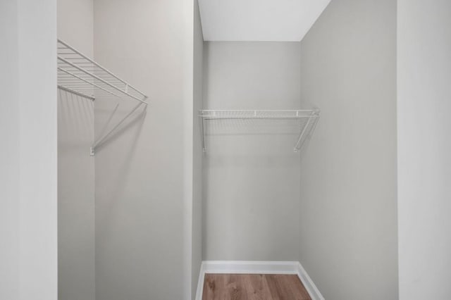 walk in closet featuring wood-type flooring