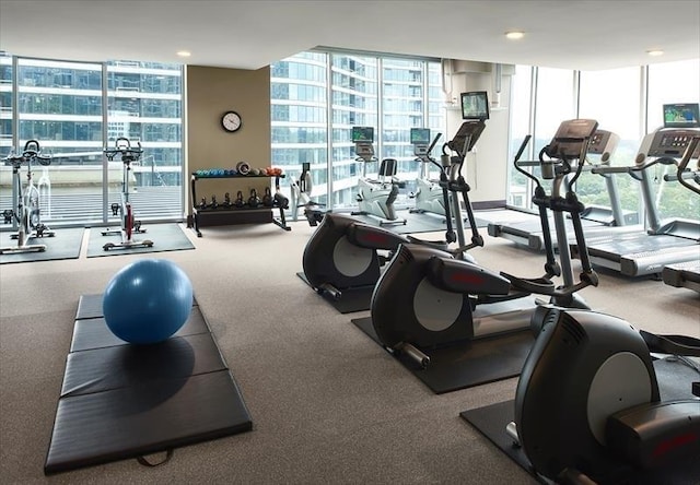 exercise room featuring a wall of windows