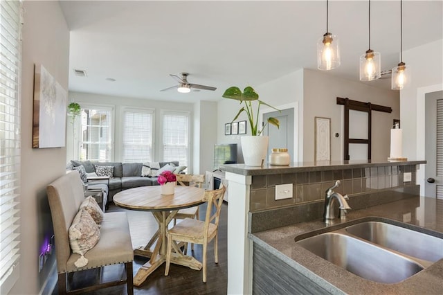 1300 Dekalb Ave NE Unit 731, Atlanta, GA 30307 - kitchen featuring a sink, a barn door, wood finished floors, ceiling fan, and hanging light fixtures