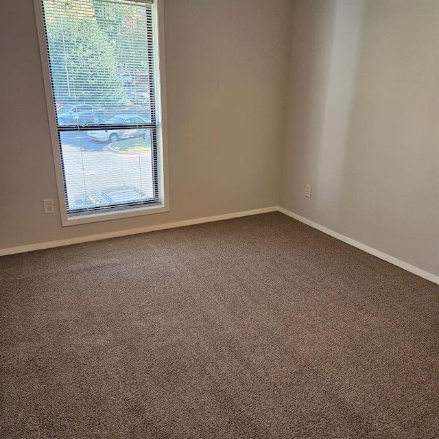 carpeted empty room with a wealth of natural light and baseboards