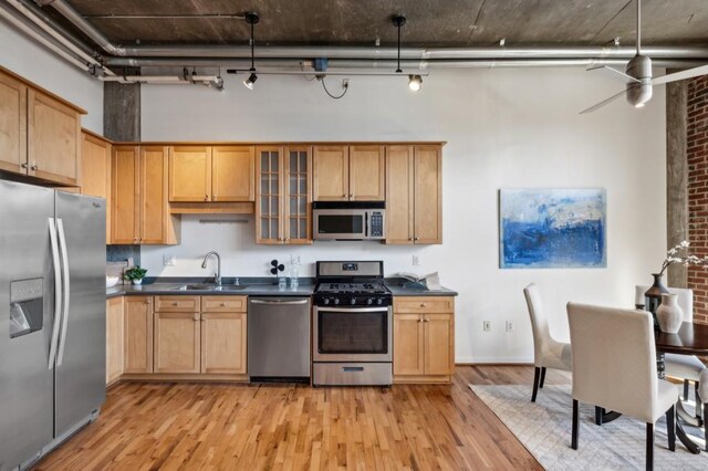 kitchen with sink, ceiling fan, light wood-type flooring, rail lighting, and appliances with stainless steel finishes