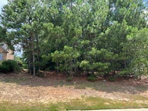 4864 Grandview Ct, Flowery Branch GA, 30542 land for sale