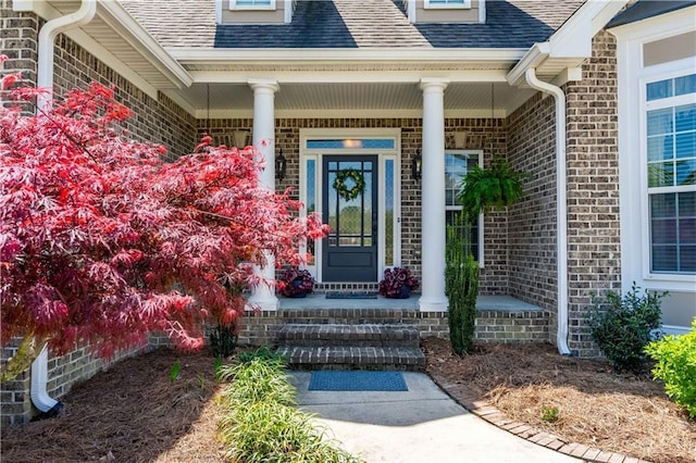 property entrance featuring covered porch, a shingled roof, and brick siding