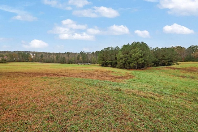 view of yard with a rural view