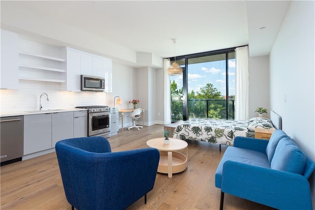 living room with light hardwood / wood-style floors and sink