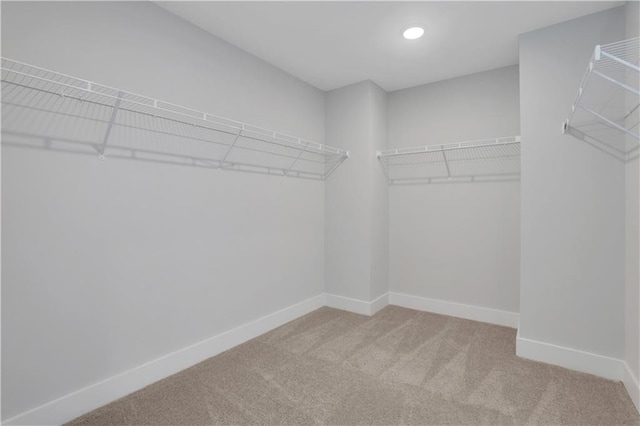walk in closet featuring carpet