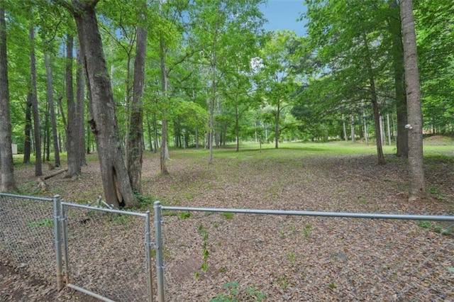 view of yard featuring a gate