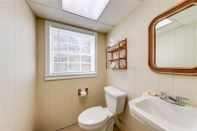 bathroom featuring wood walls, sink, a drop ceiling, and toilet