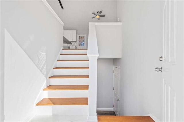 staircase featuring wood-type flooring