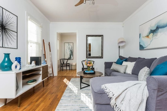 living area featuring ceiling fan, ornamental molding, and wood finished floors