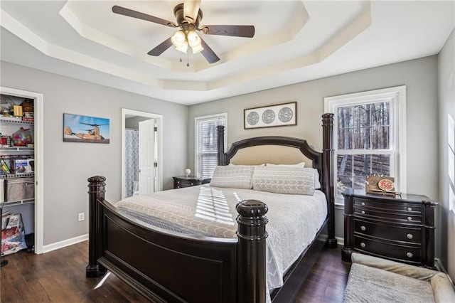 bedroom with dark wood-type flooring, ceiling fan, and a tray ceiling