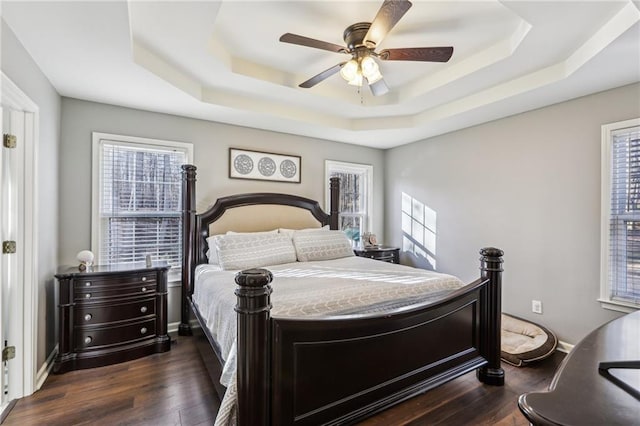 bedroom featuring ceiling fan, multiple windows, dark hardwood / wood-style flooring, and a raised ceiling