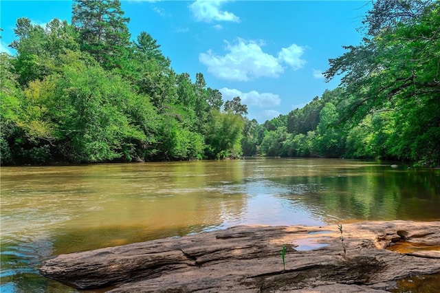 46.40 Ashley Dr, Cleveland, GA 30528