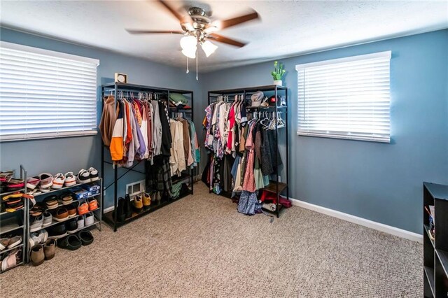 spacious closet featuring visible vents, carpet, and a ceiling fan