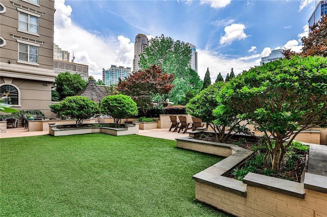 view of yard with a patio area