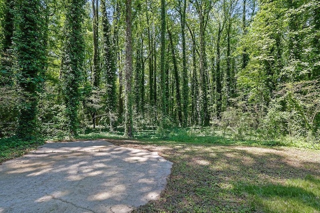 4066 Covered Bridge Rd SW, Smyrna, GA 30082 - view of yard featuring a wooded view
