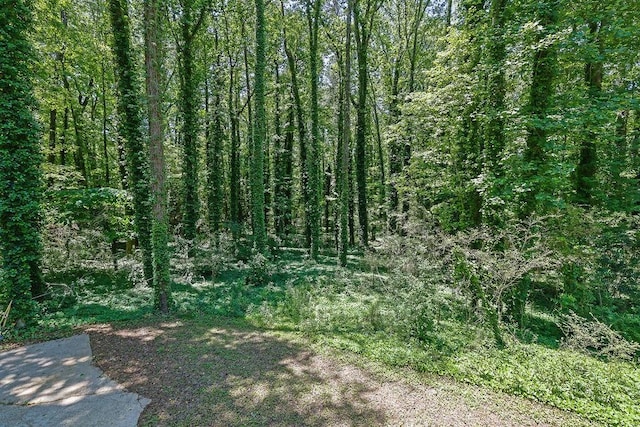 4066 Covered Bridge Rd SW, Smyrna, GA 30082 - view of tree filled area