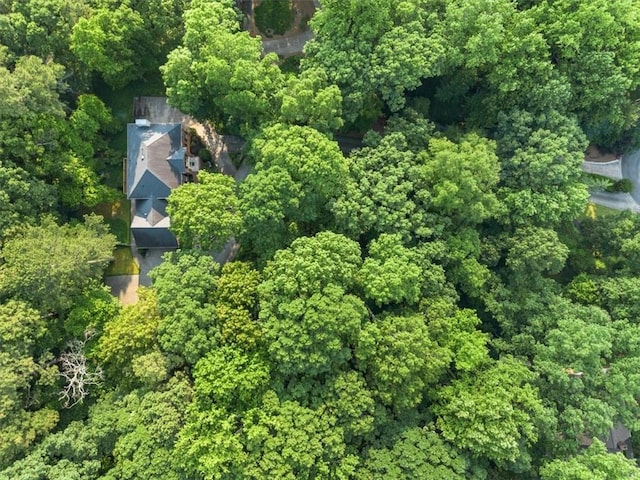 127 Roe Hampton Ln, Stone Mountain, GA 30087 - aerial view of property's location with a heavily wooded area