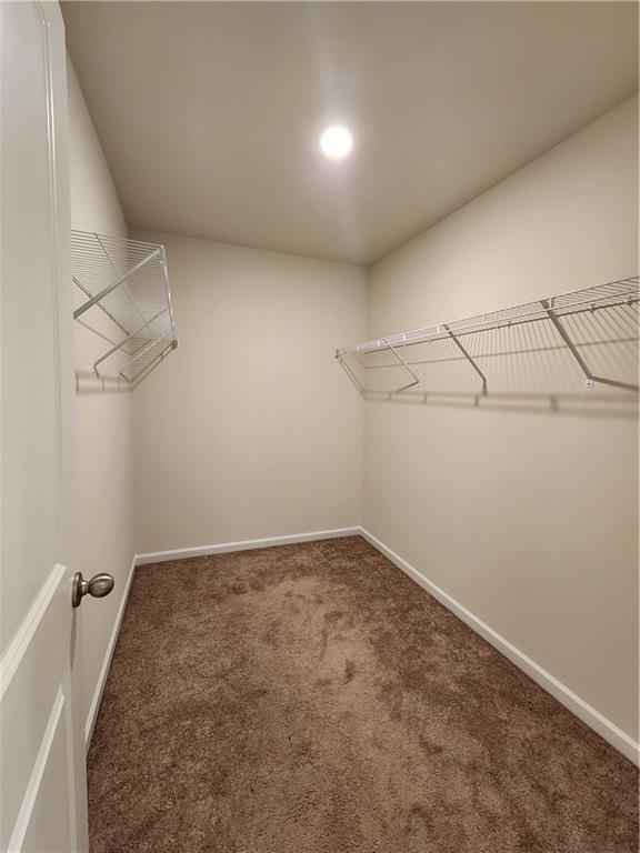 spacious closet featuring dark carpet