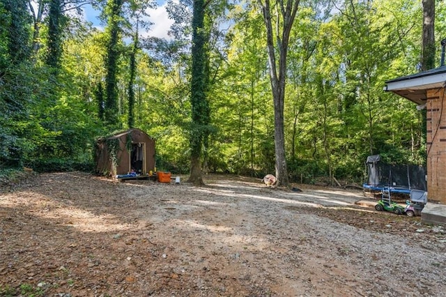 view of yard featuring a shed and a trampoline