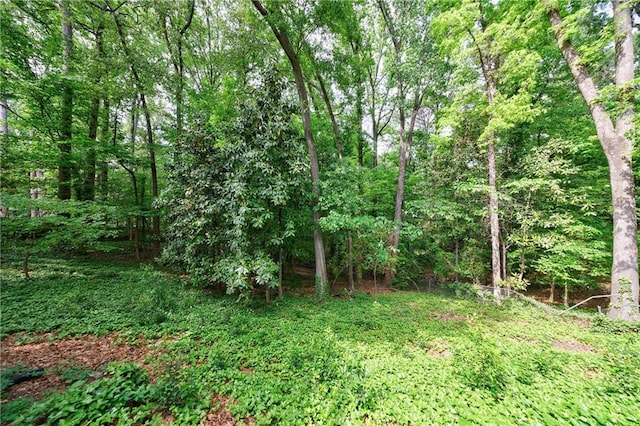 view of yard with a view of trees