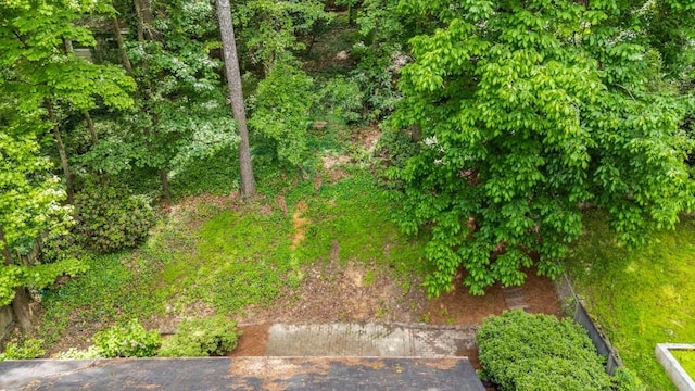2556 Defoors Ferry Rd NW, Atlanta, GA 30318 - view of yard