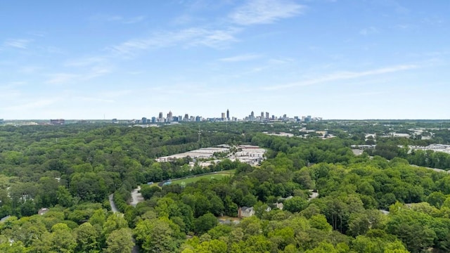 2556 Defoors Ferry Rd NW, Atlanta, GA 30318 - bird's eye view of skyline and a heavily wooded area