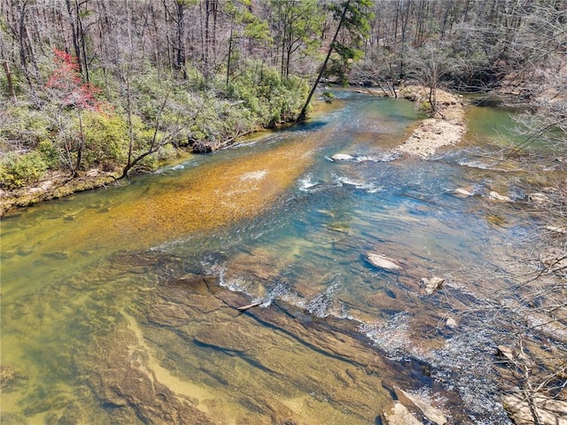 view of water feature featuring a wooded view