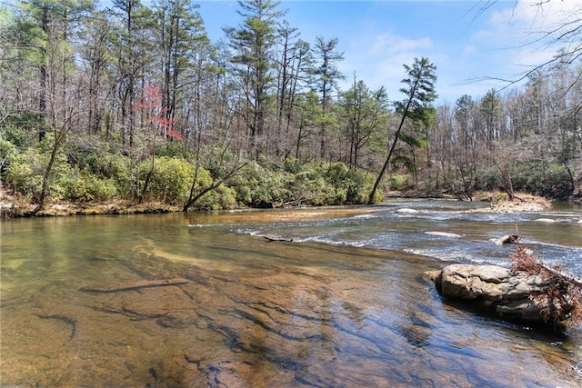 view of water feature with a wooded view