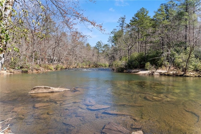 view of water feature featuring a wooded view